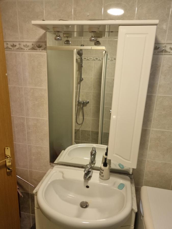 Greenview Apartment With Parking 罗维尼 外观 照片